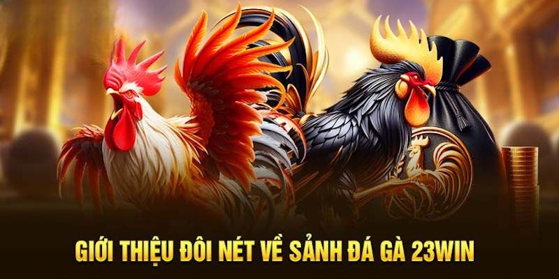 Giới thiệu đôi nét sảnh đá gà 23Win