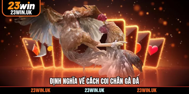 Định nghĩa về cách coi chân gà đá