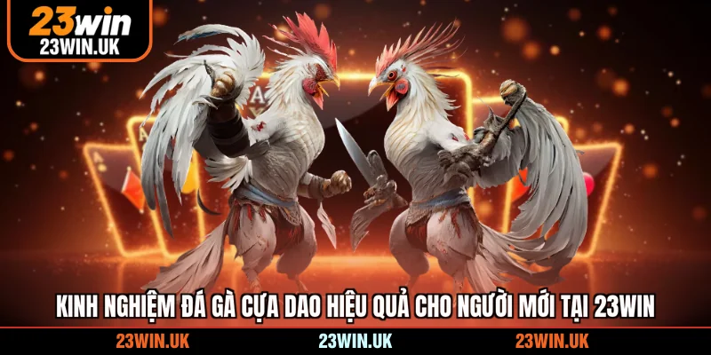 Kinh nghiệm đá gà cựa dao hiệu quả cho người mới tại 23WIN