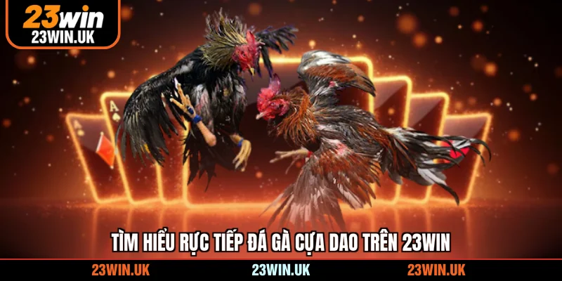 Giao diện xem trực tiếp đá gà cựa dao hiệu quả tại 23WIN